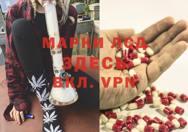 PSILOCYBIN Корсаков
