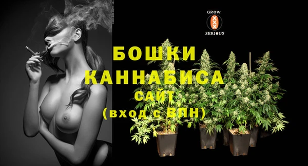 ГАЛЛЮЦИНОГЕННЫЕ ГРИБЫ Тольятти