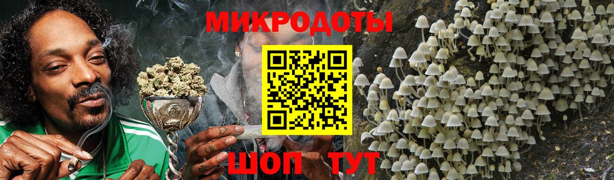 Галлюциногенные грибы Psilocybe  Галлюциногенные грибы мухоморы  купить   Вход с VPN  Норильск 