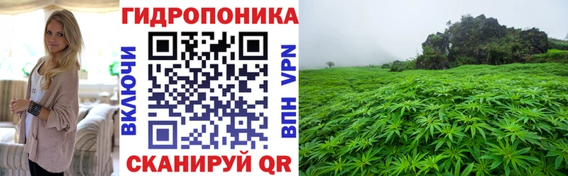 где можно купить   Норильск  Каннабис индика 